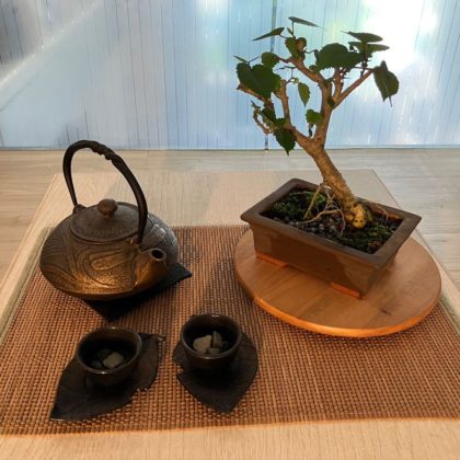 Table Top Bonsai 1